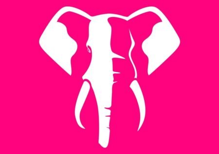 Elephant bet