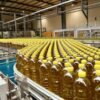 Angola Produz Mais de 1.300 Toneladas de Óleo Alimentar por Dia