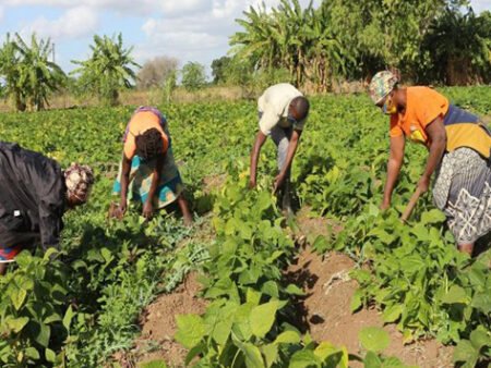 BAD destaca potencial inexplorado do capital total de Angola